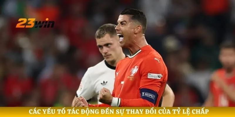 Các yếu tố tác động đến sự thay đổi của tỷ lệ chấp