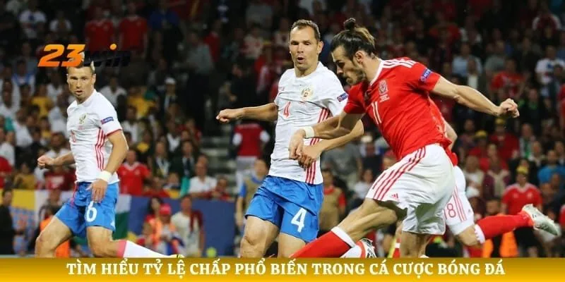 Tìm hiểu tỷ lệ chấp phổ biến trong cá cược bóng đá